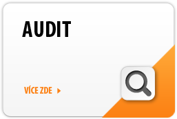 auditor pro finanční audit účetní závěrky